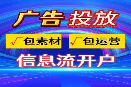 竞价广告的投放策略与效果评估——以一成功企业为例